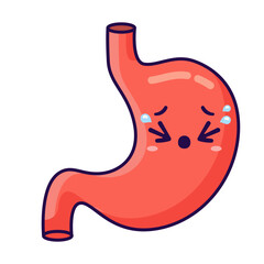 cute stomach organ