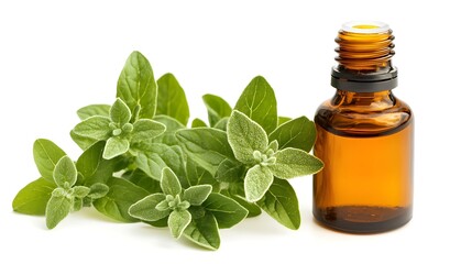 a bottle of essential oil surrounded by leaves