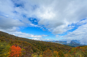 Naklejka premium 紅葉シーズンの山岳風景、カラフルな樹木と雄大な自然のコントラスト 