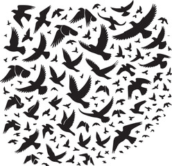 bird set silhouette vector, set of black silhouettes of animals vector illustration, bird vector illustration isolated on white and black background