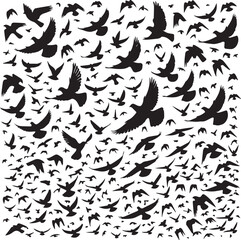 Fototapeta premium bird set silhouette vector, set of black silhouettes of animals vector illustration, bird vector illustration isolated on white and black background