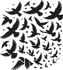Fototapeta premium bird set silhouette vector, set of black silhouettes of animals vector illustration, bird vector illustration isolated on white and black background