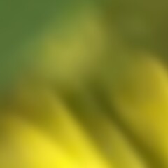 Abstract yellow and green background from defocused of tulip flower for luxury, classic, elegance