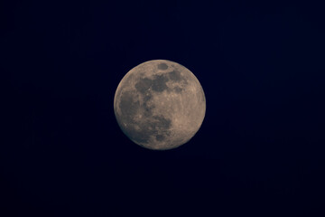 Close up of a full moon in detail in the night sky