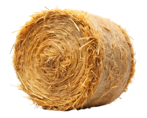 bale of hay