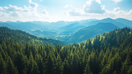 Fototapeta premium on top of the mountain with an open forest behind. 