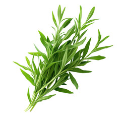 Fototapeta premium A bunch of fresh green herbs are displayed on a white background. The herbs are fresh and vibrant, and they give off a sense of health and vitality. Concept of using fresh herbs in cooking