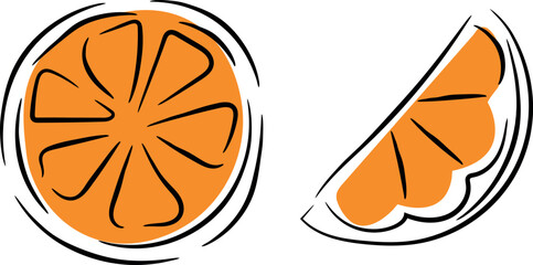 Hand-Drawn Orange Slice and Whole Citrus Fruit Illustration