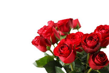 Bouquet of red roses, isolated on white background, PNG