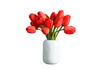 Bouquet of red tulips in a white vase, isolated on white background, PNG