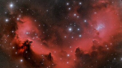 Fototapeta premium Realistic nebula surrounded by stars and cosmic dust in a deep space background