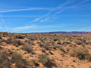 desert landscape in arizona