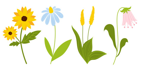 Spring, summer flowers set. Sunflower, Tulip, Camomile, Plantain. Vector flat illustrations. Easter, Spring, Summer flowers. Cartoon style