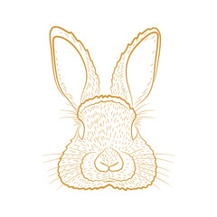Golden Line Art of a Rabbit Face with Elegant Detailing