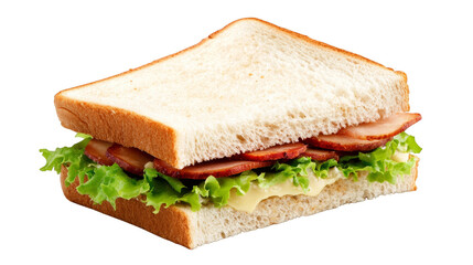 Closeup of a delicious sandwich with meat and fresh lettuce 