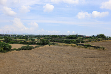 Obraz premium 밭과 하늘이 어우러진 논밭 풍경 제주 제주시 한림읍 동명리 수류촌밭담길