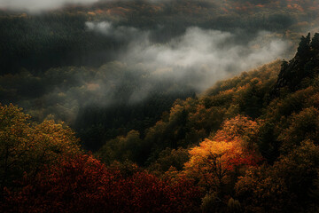 Fototapeta premium Scenic aerial view of vibrant autumn forest landscape with soft fog and mist adding an ethereal atmosphere, highlighting the beauty of nature during seasonal change
