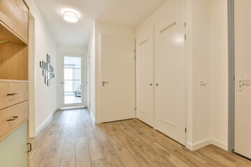 A sleek, modern hallway featuring light-colored walls, wooden flooring, and minimalist design elements that create an inviting atmosphere.