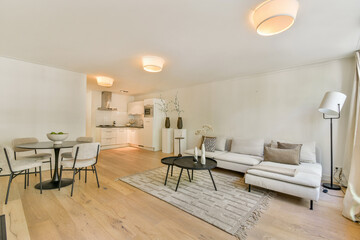A stylish modern living space featuring a sleek kitchen and comfortable seating area, designed for both functionality and elegance.