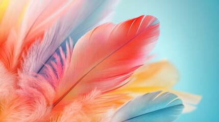 Obraz premium Colorful feathers arranged on pastel background