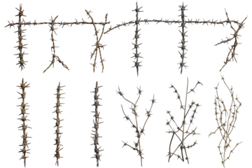 set of barbed wires cut out isolated on white or transparent background