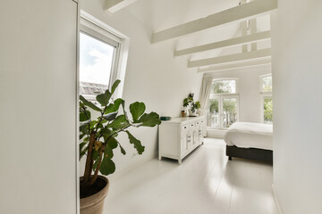 A spacious, contemporary bedroom filled with natural light, featuring minimalist decor and a touch of greenery from a potted plant.