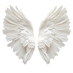 White angel wings feather texture background design,