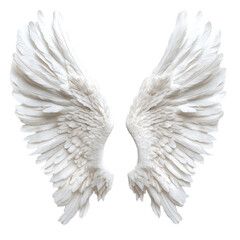 Fototapeta premium White Angel Wings Spiritual Freedom Flight,