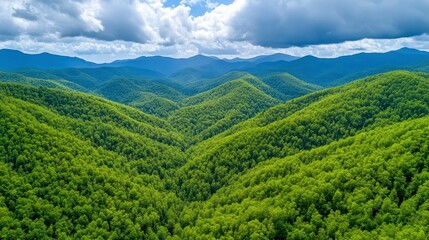Fototapeta premium Lush Green Mountain Landscape Under a Bright Blue Sky