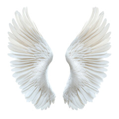 Fototapeta premium Majestic white wings spread wide freedom flight angelic feathers