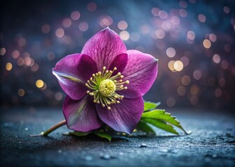 Deepest sympathy. Purple hellebore blooms, tilt-shift photographed, grace this remembrance card, offering comfort in grief and loss.