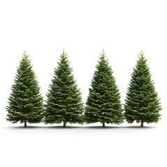 Obraz premium Delightful display of three small christmas trees on a crisp white background