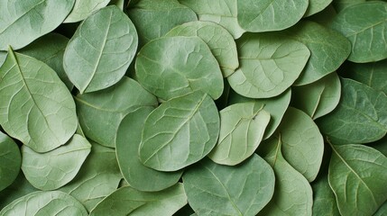 A Collection Of Lush Green Leaves Arranged Closely Together