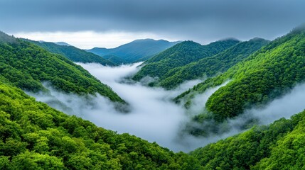 Serene Green Valley with Misty Hills and Overcast Sky