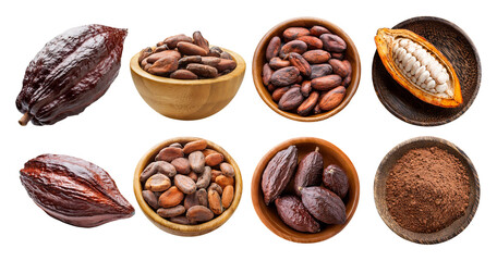 Obraz premium Cacao Beans, Pods, and Powder Arrangement on White Background, isolated on transparent background