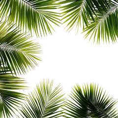 Obraz premium Lush Palm Fronds Frame Abstract Art Tropical Green Nature