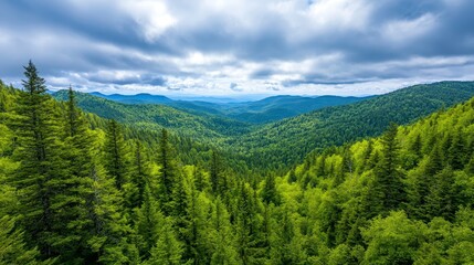 Fototapeta premium Lush Green Forest Landscape with Rolling Hills and Dramatic Sky