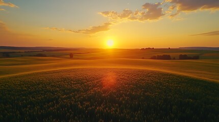 Obraz premium Drone Over Vineyard at Sunset, A drone flying over a lush green vineyard at sunset, with rolling hills in the background