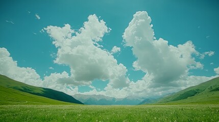 Fototapeta premium Serene Summer Landscape: Green Field with White Flowers under a Blue Sky and Fluffy Clouds