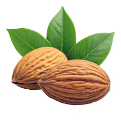 Fresh Almonds With Leaves