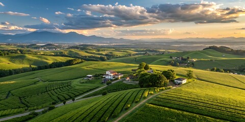 Naklejka premium Scenic sunset over rolling hills and vineyards.