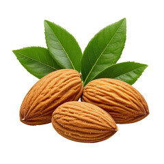 Fresh Almonds With Leaves