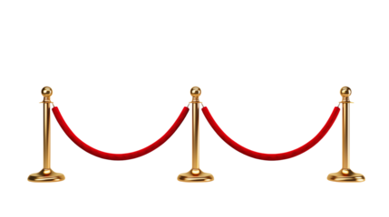 Elegant Gold Rope Barrier Stand for VIP Events