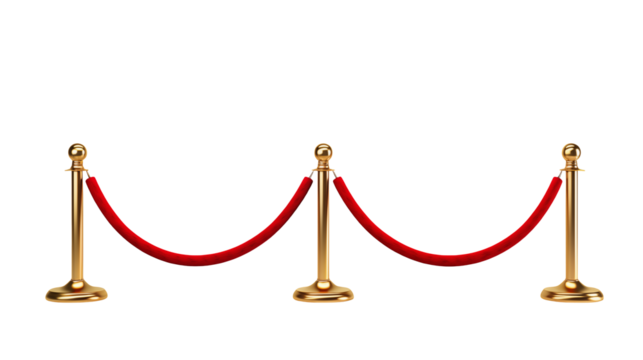 Elegant Gold Rope Barrier Stand for VIP Events