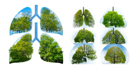 Lungs and Trees Connection in Nature Concept,PNG set collection, isolated on transparent background
