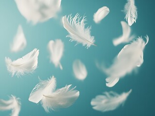 Naklejka premium Sky Blue Background, Floating Feathers, Wing Feathers, Feather Stock Image, Generative AI