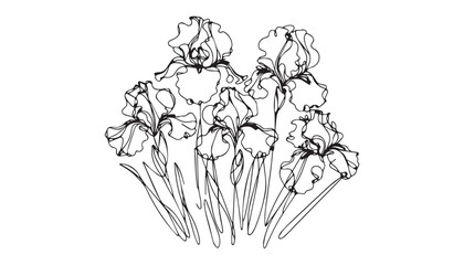 Continuous one single minimal line drawing Iris