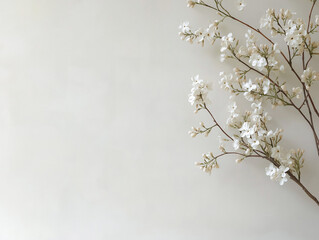 Soft white flowers against a light neutral background enhance a peaceful indoor atmosphere