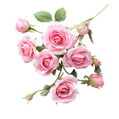 Obraz premium Pink Roses Bouquet Floral Beauty Nature Flowers Romance