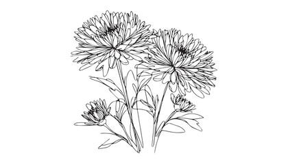Continuous one single minimal line drawing Aster